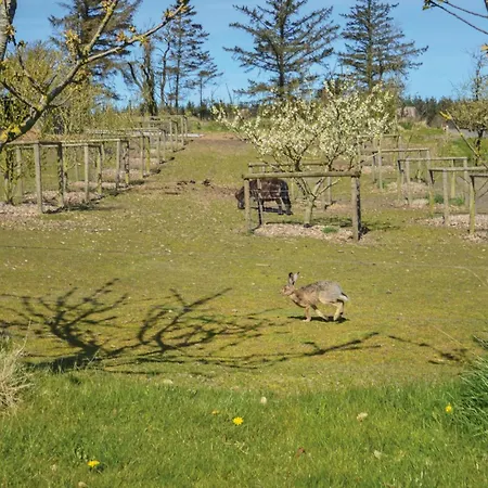 Сasa de vacaciones Venohus