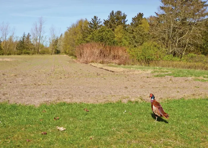 Venohus Σπίτι διακοπών Struer